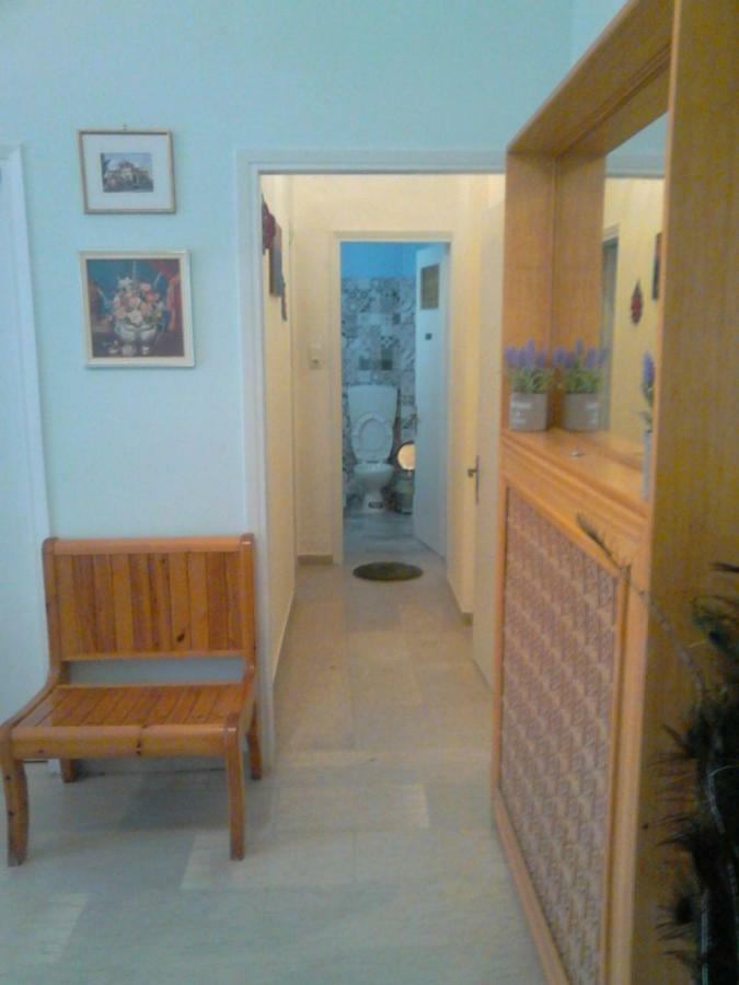 Vasiliki'S Apartment Kalampaka Exteriör bild